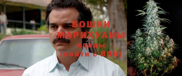 гидропоника Алзамай