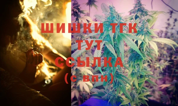 молекула духа Алексин