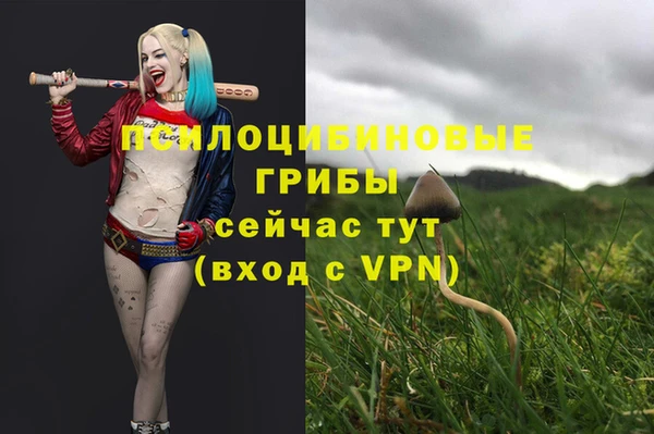 гидропоника Алзамай